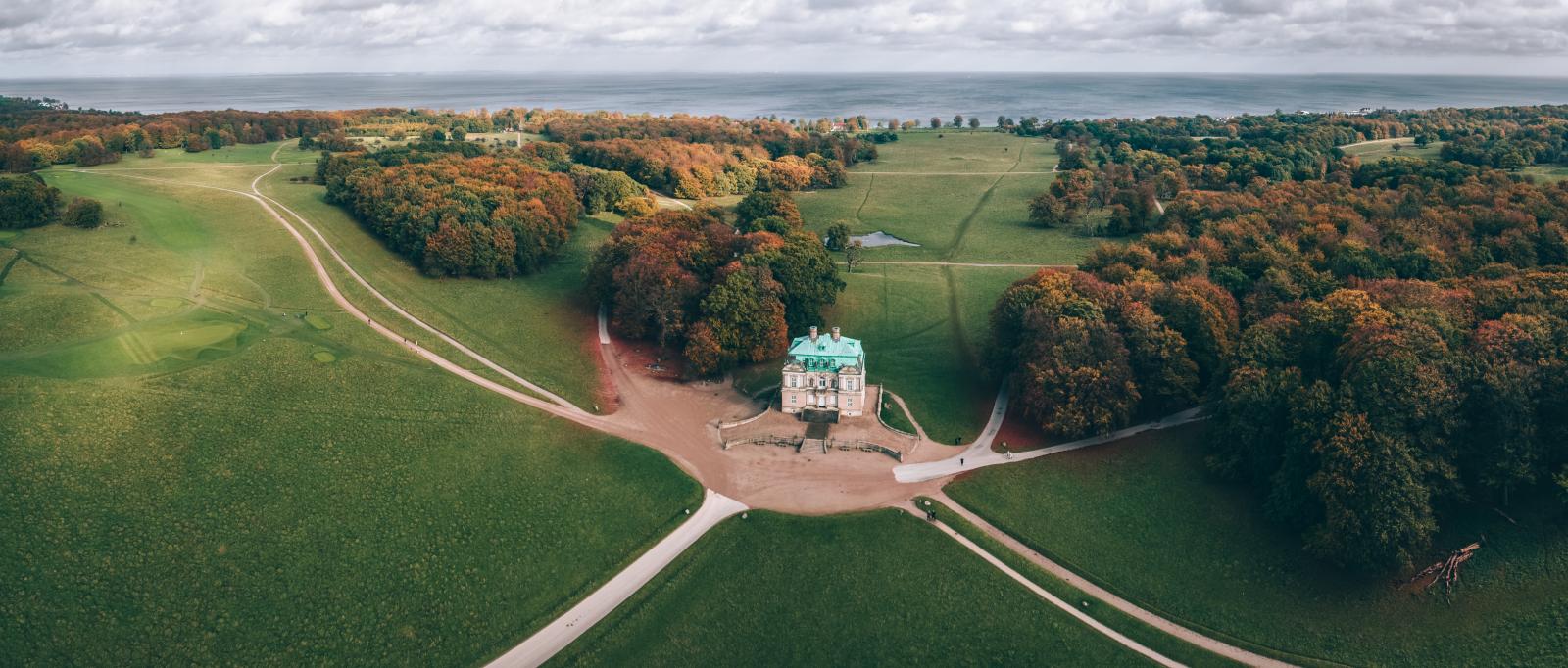 The Deer Park